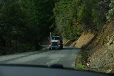 DSC_0899 (Large).JPG